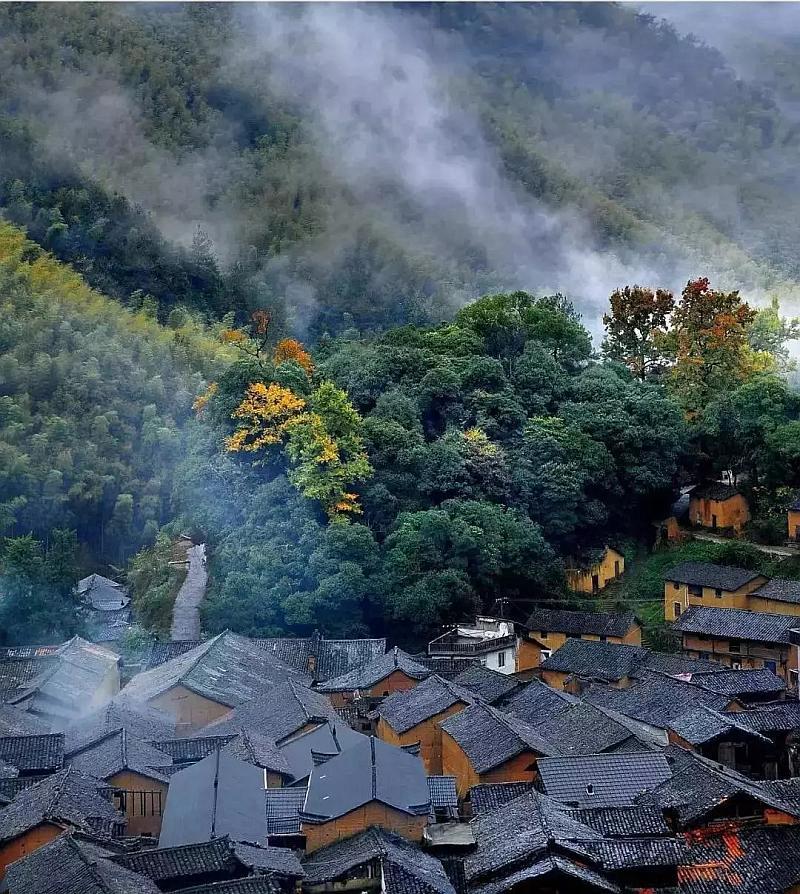 拯救巧虎4